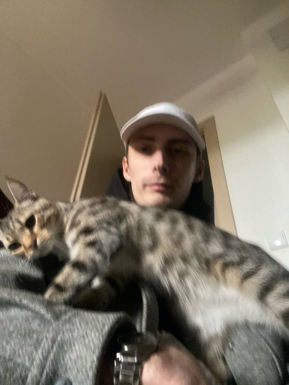 Сема и кот 2